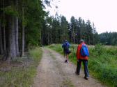  Wanderroute auf schnen Waldwegen 