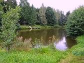  schner Fischteich 1 