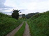  Wanderweg Richtung Heiligenkreuz 