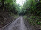  Wanderroute durch einen Hohlweg nach Gutenbrunn 