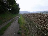  Blick auf die Wanderroute 