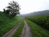  Blick auf die Wanderroute 