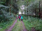 schner Waldwanderweg durch die Riede "Oberer Sattel" 