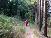  Wanderroute auf schnen Waldwegen 