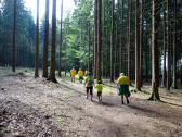  Wanderroute auf schnen Waldwegen 