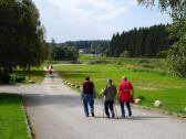  Blick auf die Wanderstrecke in Alt-Nagelberg 