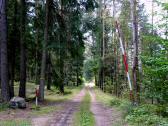  Wanderroute auf schnen Waldwegen 