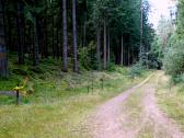  Wanderroute auf schnen Waldwegen 