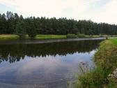  Blick auf den Gamsbachteich 