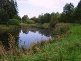  Wanderweg entlang der Gamsbachteichen 