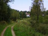 Wanderweg entlang des Gamsbach wieder nach Alt-Nagelberg 