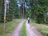  Wanderroute auf schnen Waldwegen 