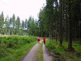  Wanderroute auf schnen Waldwegen 