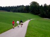  Blick auf die Wanderstrecke nach Emsmannsreith 