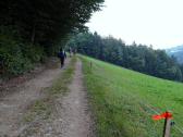  Blick auf die Wanderroute Richtung Peilstein 