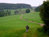  Blick auf den Wanderweg nach Weixelbaum 