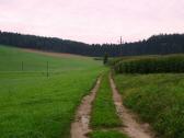  Wanderweg nach Oberneudorf 