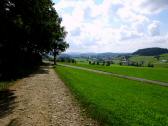  Wanderweg nach Hinterschiffl 