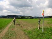  Wanderweg nach Heinrichsberg 