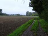  Wanderweg Richtung Gobelsburg 