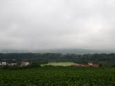  Fernblick zum im Nebel verdeckten Heiligenstein 