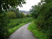  Wanderweg bergab nach Gobelsburg 