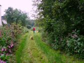  Wanderweg entlang des Kamps 