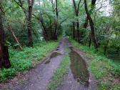  Wanderweg entlang des Kamps 