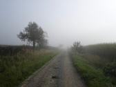 Blick auf die Wanderstrecke Richtung Maria Dreiechen 