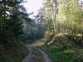 Wanderroute durch den Wald des untereren Molder-Berg 