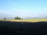  Fernblick zum noch nebeligen Mold 