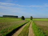  Blick auf die Wanderstrecke 