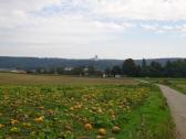  schner Fernblick ber Mold nach Maria Dreieichen 