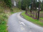  Blick auf die Wanderstrecke beim Skulpturenpark 