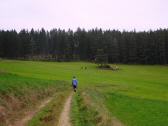  Blick auf die Wanderstrecke 