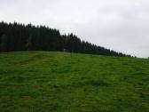  leicht bergan nach dem Nunhof 