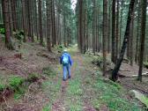 Wanderroute durch den Wald des Graberg nach Neustift 