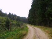  Blick auf den Wanderweg nach Neustift 