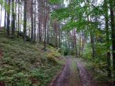  Blick auf die Wanderroute nach Pirkenreith 