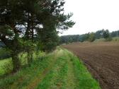  Blick auf die Wanderstrecke Nhe Pirkenreith 