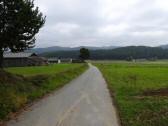  Blick auf die Wanderstrecke bei Pehendorf 