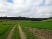 Blick auf die Wanderstrecke in der Ebene des Pehendorfer Graben