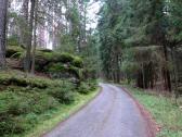  Wanderroute auf dem Forstweg"Steinstube" 