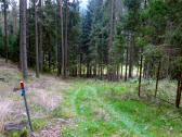  Wanderroute bergab zum Lohnbach 