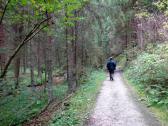  Wanderweg entlang des Lohnbachs 