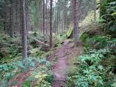  Wanderweg entlang des Lohnbachs 