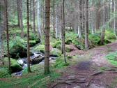  Wanderweg entlang des Lohnbachs 