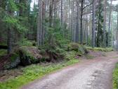  Blick auf die Wanderstrecke 