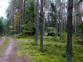  Blick auf die Wanderstrecke 