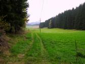 Blick auf die Wanderstrecke wieder zum Pehendorfer Graben 